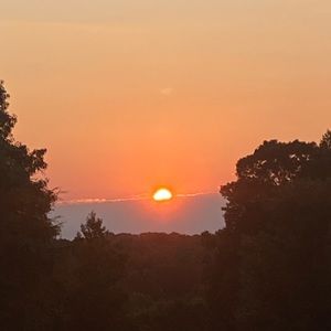 Meet your Posher, Lola